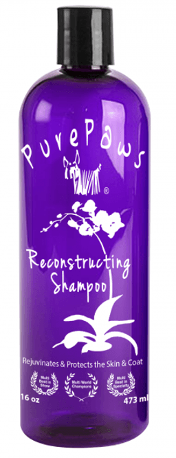 Hovedbilde Reconstructing Shampoo