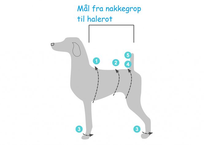 Hovedbilde Regndress, svart