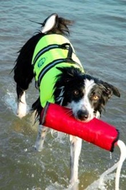 Hovedbilde Flytevest