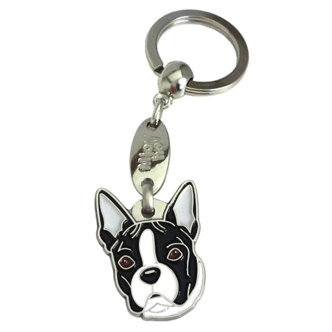 Hovedbilde Boston terrier