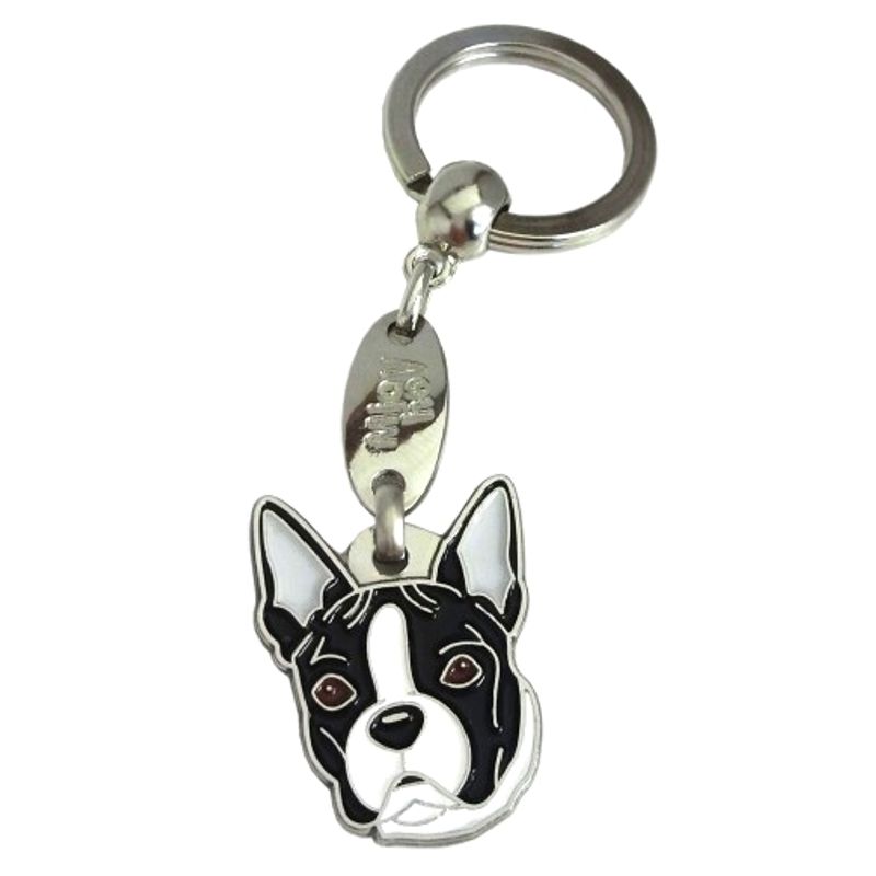 Boston terrier