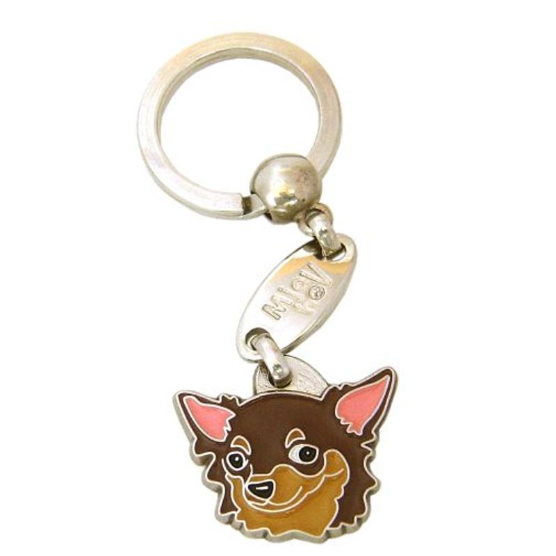 Chihuahua langhår