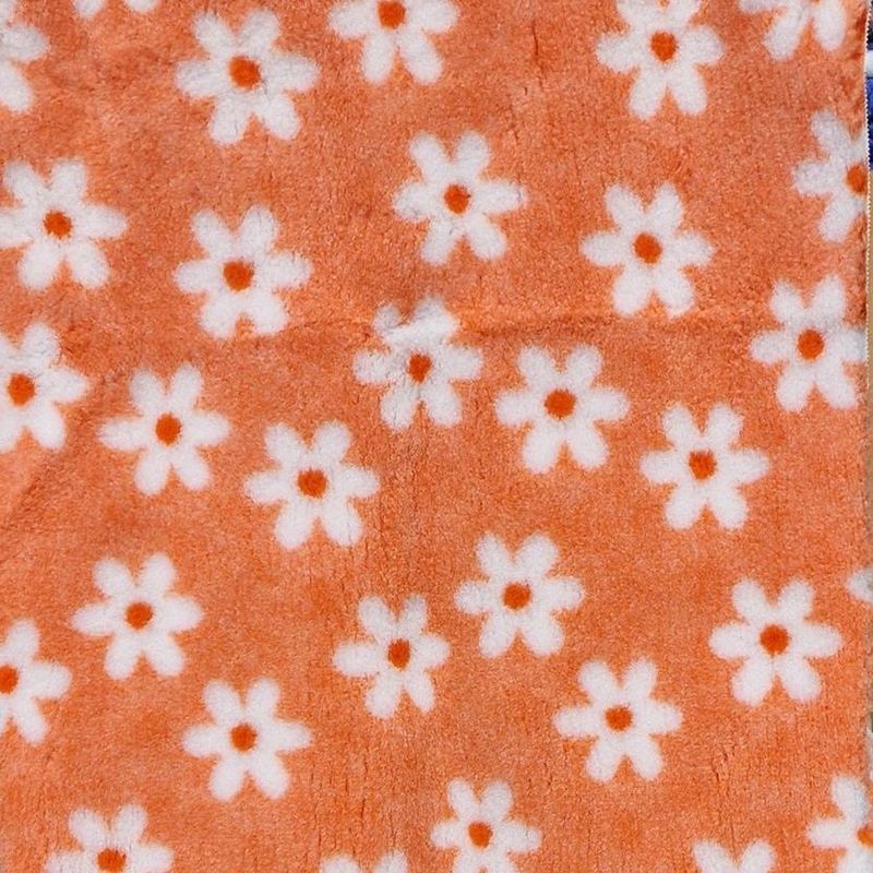 Vetbed daisy - oransje med hvite blomster